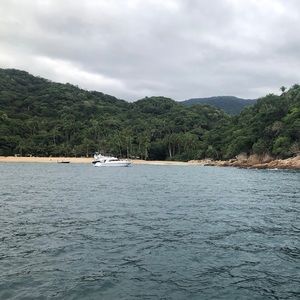 Meet your Posher, Elsy